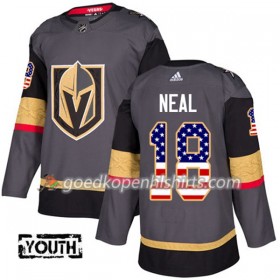 Vegas Golden Knights James Neal 18 Adidas 2017-2018 Grijs USA Flag Fashion Authentic Shirt - Kinderen